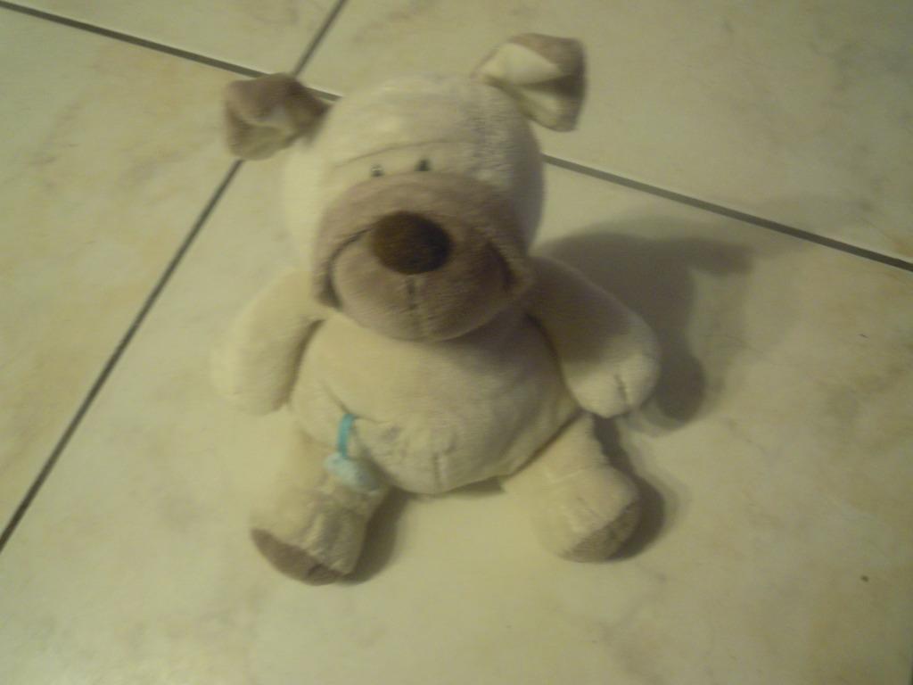 knuffel nici hond (doos jan2023), Kinderen en Baby's, Speelgoed | Knuffels en Pluche, Ophalen of Verzenden, Nieuw, Hond