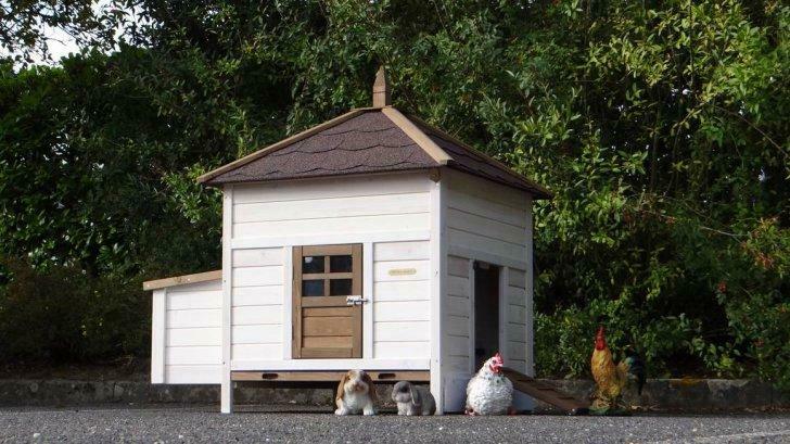 Poulailler caille volaille lapin clapier abri poule XXL coq, Verzenden, Nieuw