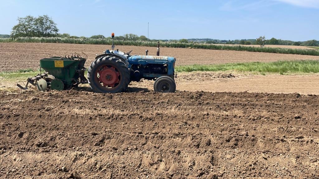 Fordson Super Major, Dieren en Toebehoren, Stalling en Weidegang