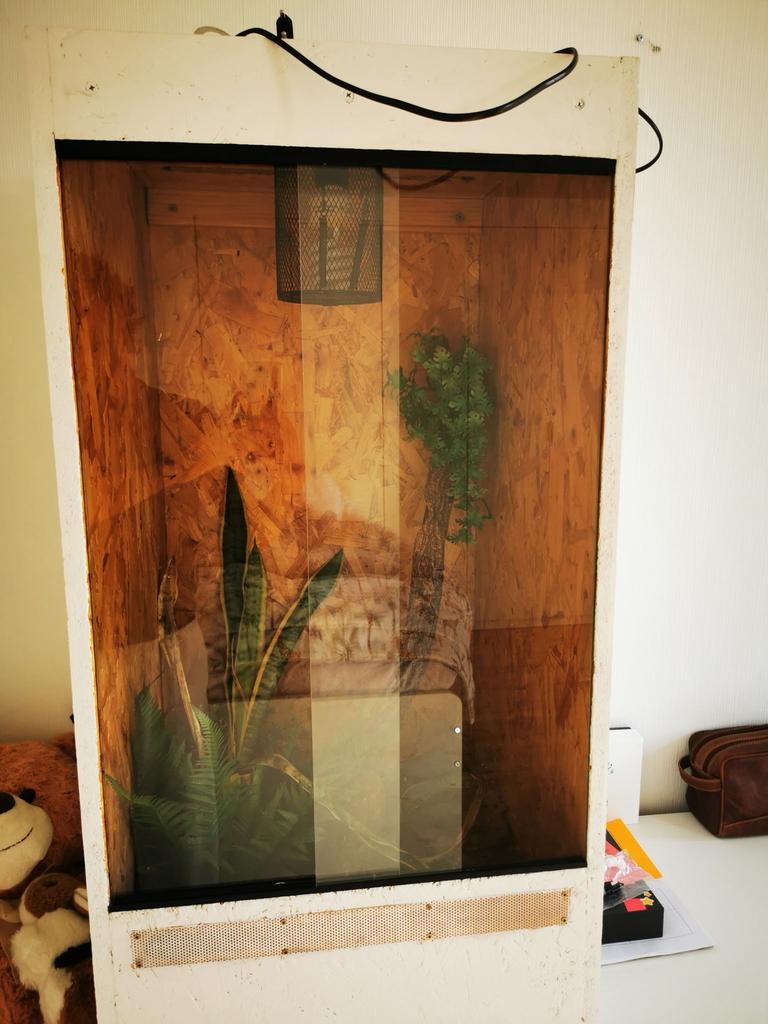 Terrarium OSB, Dieren en Toebehoren, Ophalen, Zo goed als nieuw, Terrarium of Paludarium