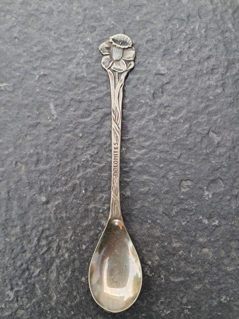 Lepeltje met narcis - Dolomieten, Ophalen of Verzenden