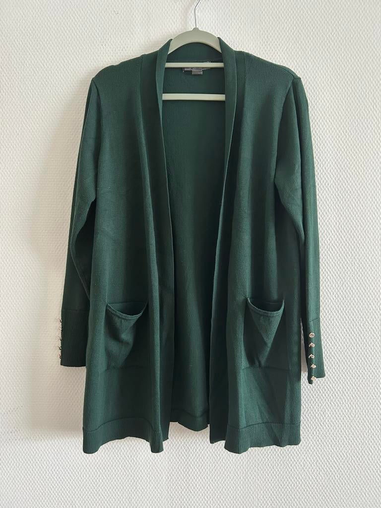 Groene vest Primark maat L, Vêtements | Femmes, Pulls & Gilets, Taille 42/44 (L), Enlèvement ou Envoi, Primark, Comme neuf