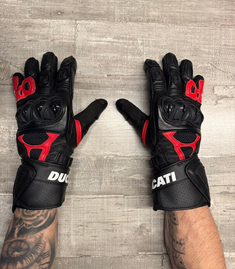 Gants en cuir Speed Evo C1 Logo Ducati, Motos, Vêtements | Vêtements de moto, Enlèvement ou Envoi, Hommes, Gants, Alpinestars