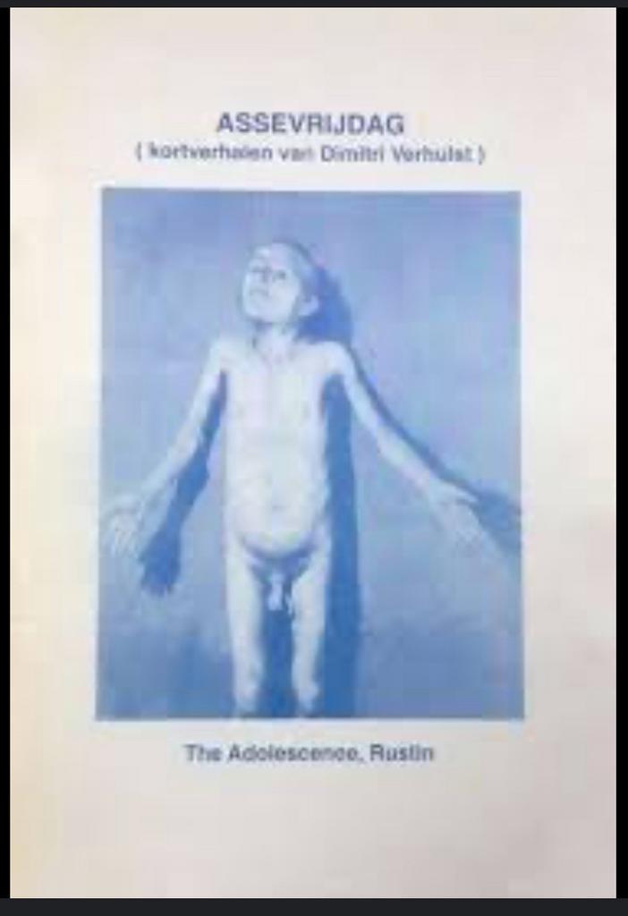 GEZOCHT: Assevrijdag & De Aankomst in de Bleke Morgen op .., Boeken, Verzenden, Gelezen, Dimitri Verhulst