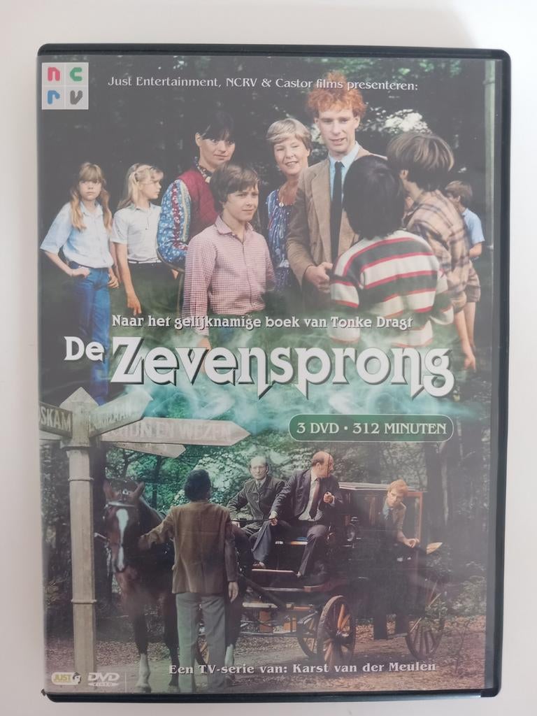 Dvd De Zevensprong (Nederlandse TV-serie), CD & DVD, DVD | Néerlandophone, Enlèvement ou Envoi, Comme neuf, Action et Aventure