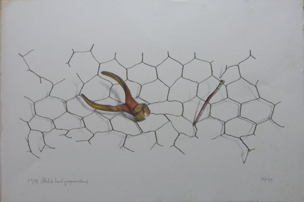 PETRUS VALCKX / KNIPTANG / ZW-W LITHO + AQUAREL / 38x56cm, Ophalen of Verzenden