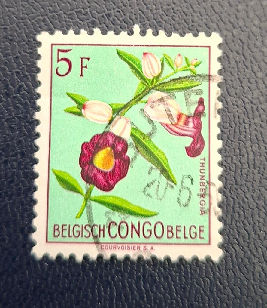Timbre OBP 316 du Congo belge, tamponné, Enlèvement ou Envoi, Affranchi, Oblitéré