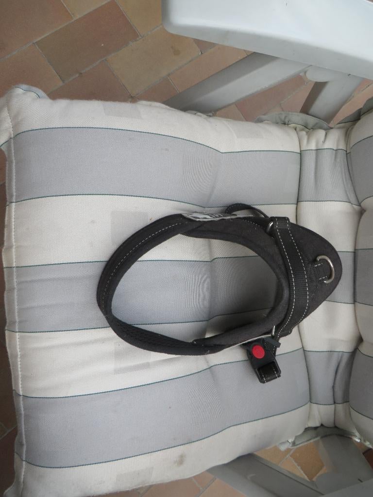 honden halsband , riem, Ophalen