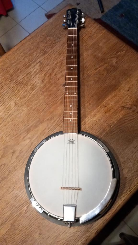 Linkshandige Ganjo, Musique & Instruments, Enlèvement, Comme neuf, Banjo