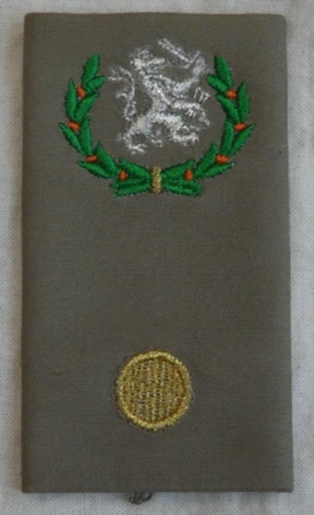 Rang Onderscheiding Regenjas Bataljons Adjudant, KL, va 2000, Verzamelen, Militaria | Algemeen, Ophalen of Verzenden, Landmacht