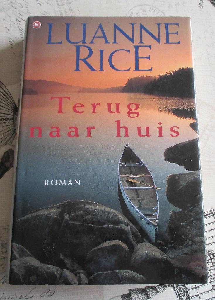 boek roman divers, Boeken, Romans, Gelezen, Ophalen of Verzenden