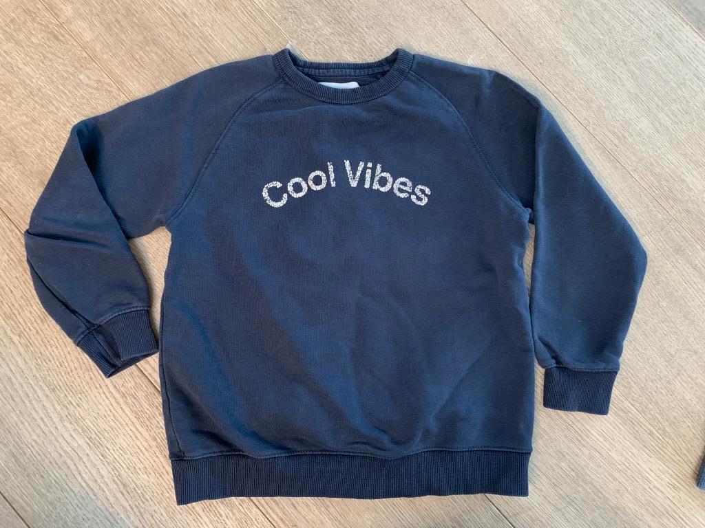 Trui Zara maat 128, Kinderen en Baby's, Kinderkleding | Maat 128, Ophalen, Zara, Trui of Vest