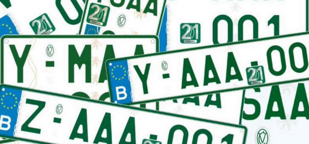Z platen Garageplaten Keuring voor verkoop Limburg, Diensten en Vakmensen, Auto en Motor | Monteurs en Garages, Apk-keuring, Overige werkzaamheden