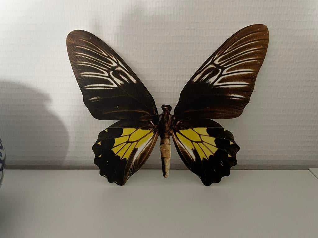 Grand papillon déco, Maison & Meubles, Enlèvement, Comme neuf