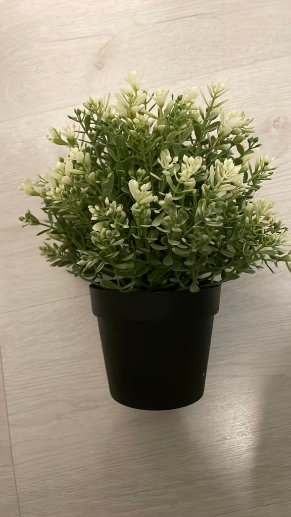 Kunstplant Ikea, Ophalen, Zo goed als nieuw