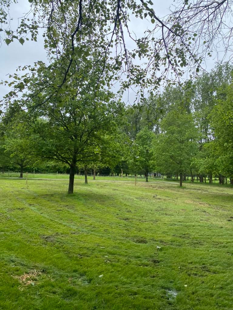 Weide te huur lier 9000m2, Stalling