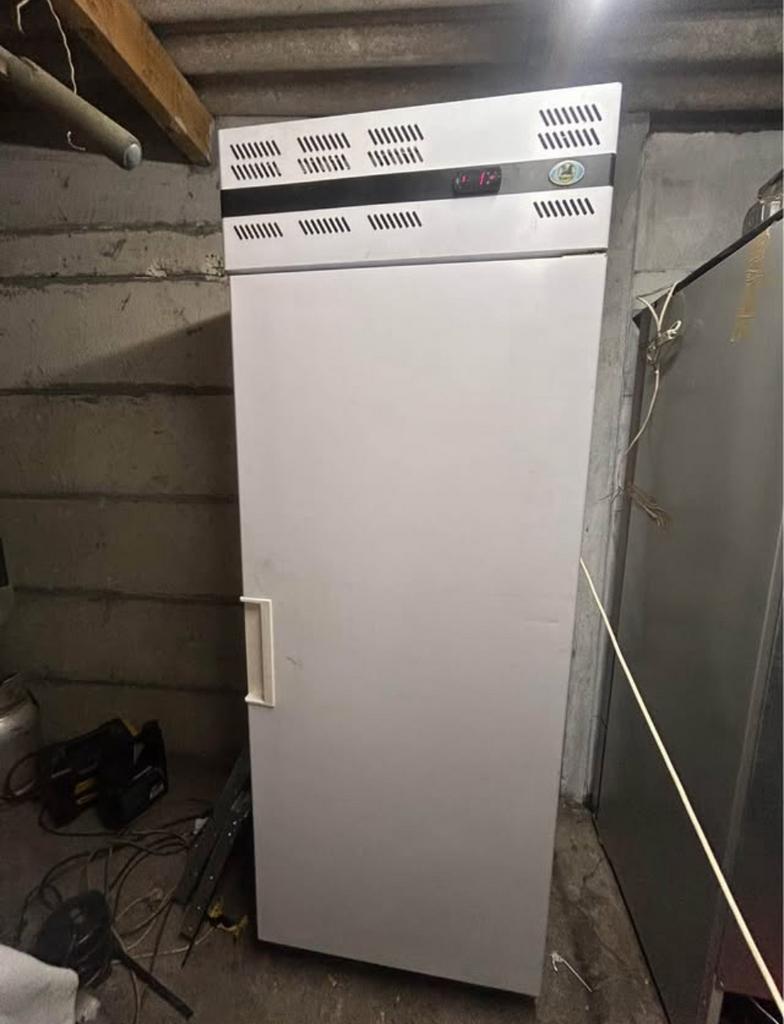 Frigo professionnel, Congélateur, Classe énergétique A ou plus économe, Enlèvement ou Envoi, 160 cm ou plus