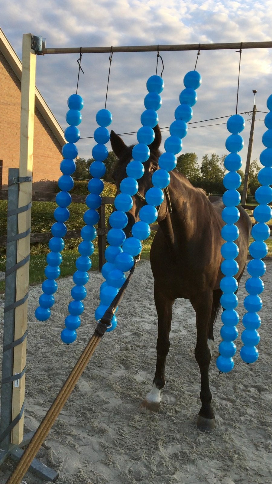 Ballengordijn voor schriktraining paard, Dieren en Toebehoren, Ophalen, Gebruikt