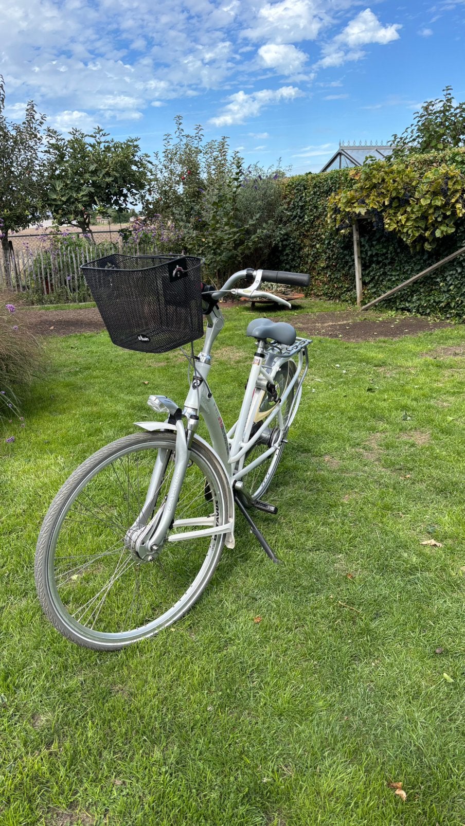 Witte Batavus Mambo Spring damesfiets met mandje maat 53 cm, Vitesses, Batavus, Enlèvement, Utilisé