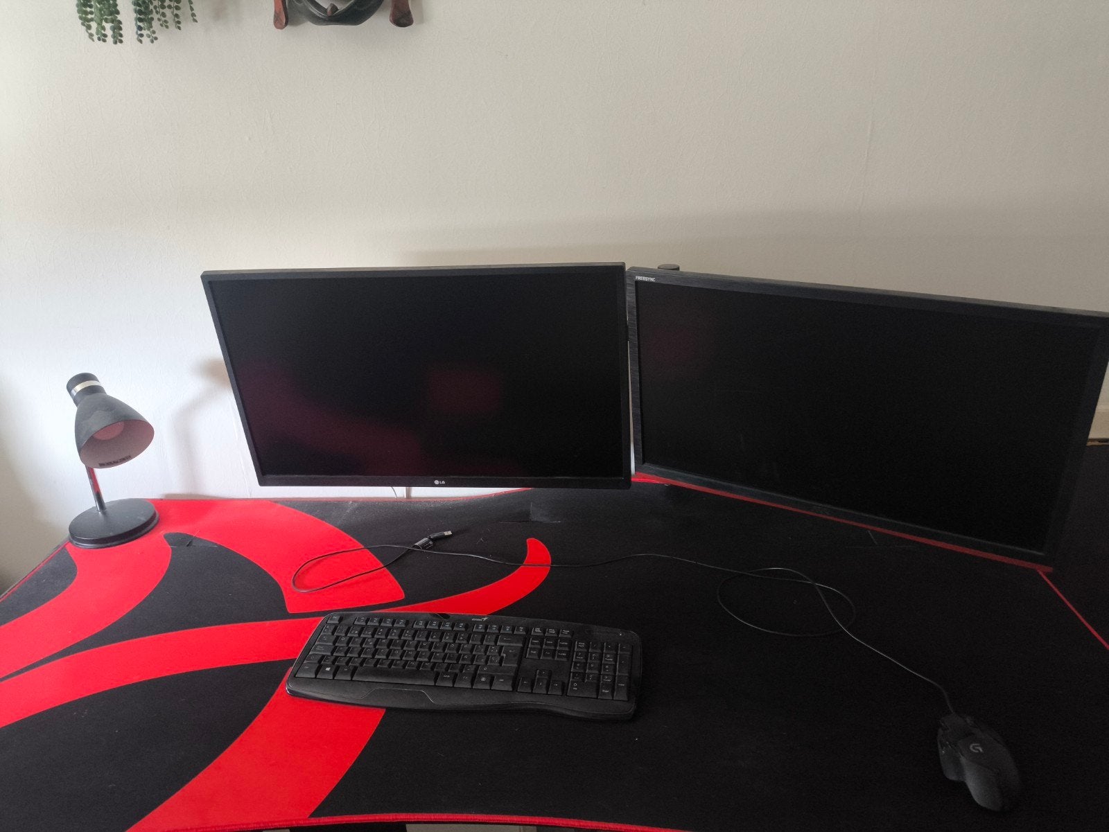 Complete gaming en/of werk setup:, Enlèvement, Gaming, IPS