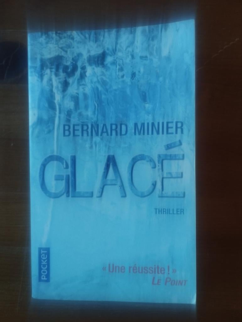 Bernard Minier Glacé, Enlèvement ou Envoi