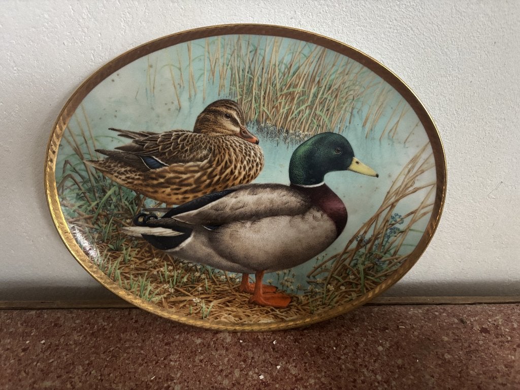 Assiette décorative - Canards, Campagnard, Objet de décoration, Multicolore, Comme neuf