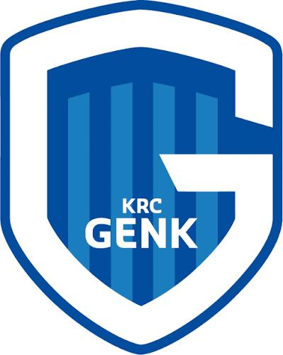 GEZOCHT ultra Stickers van deze 3 clubs vooral Genk stickers, Ophalen, Nieuw, Meerdere stickers