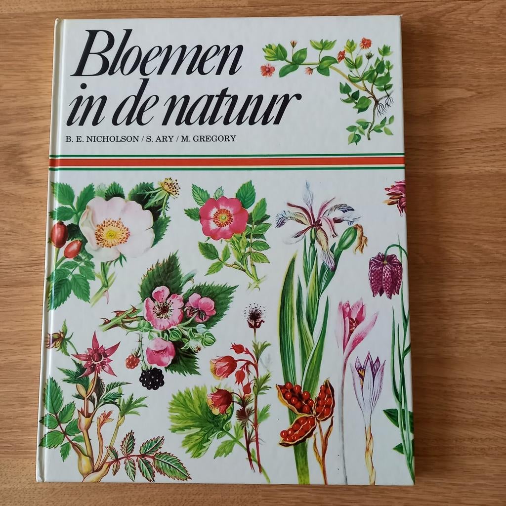 BLOEMEN IN DE NATUUR ❤️🧡💛💚💙💜, Ophalen of Verzenden