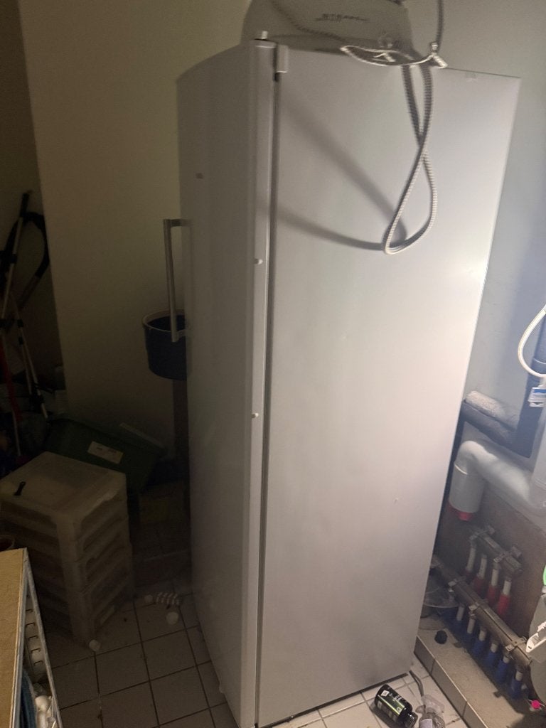 Diepvries, Congélateur, Utilisé, 60 à 90 cm, Autoportant