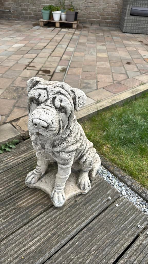 Beeld sharpei hond beton, Tuin en Terras, Ophalen, Zo goed als nieuw, Beton