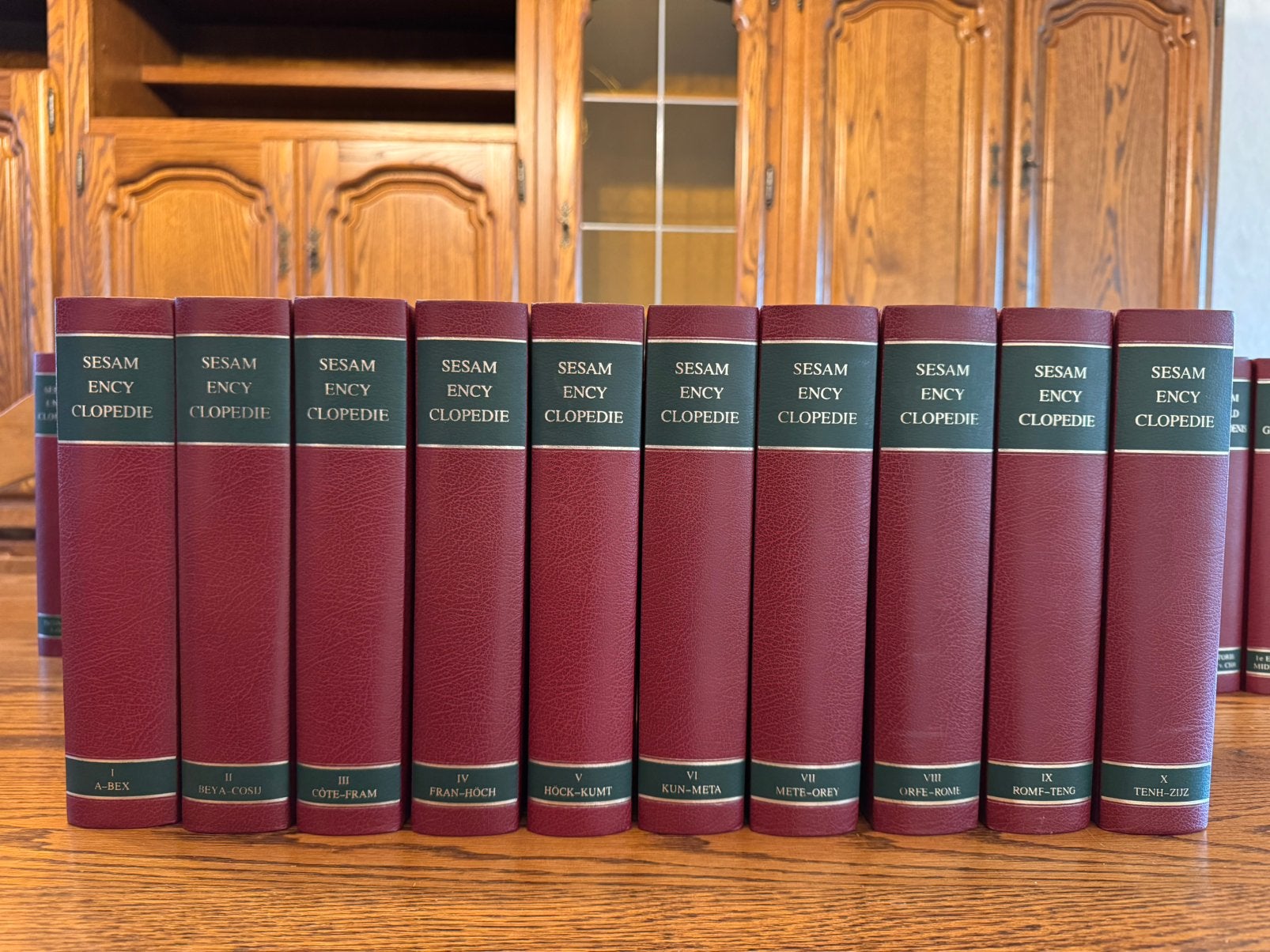 Sesam Encyclopedie reeks, Boeken, Encyclopedieën, Ophalen, Algemeen, Complete serie