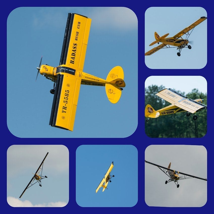 shock Cub (seagull) 2.60 m. xxl bush Cub plane !, Enlèvement, Utilisé, Essence, RTF (Ready to Fly)