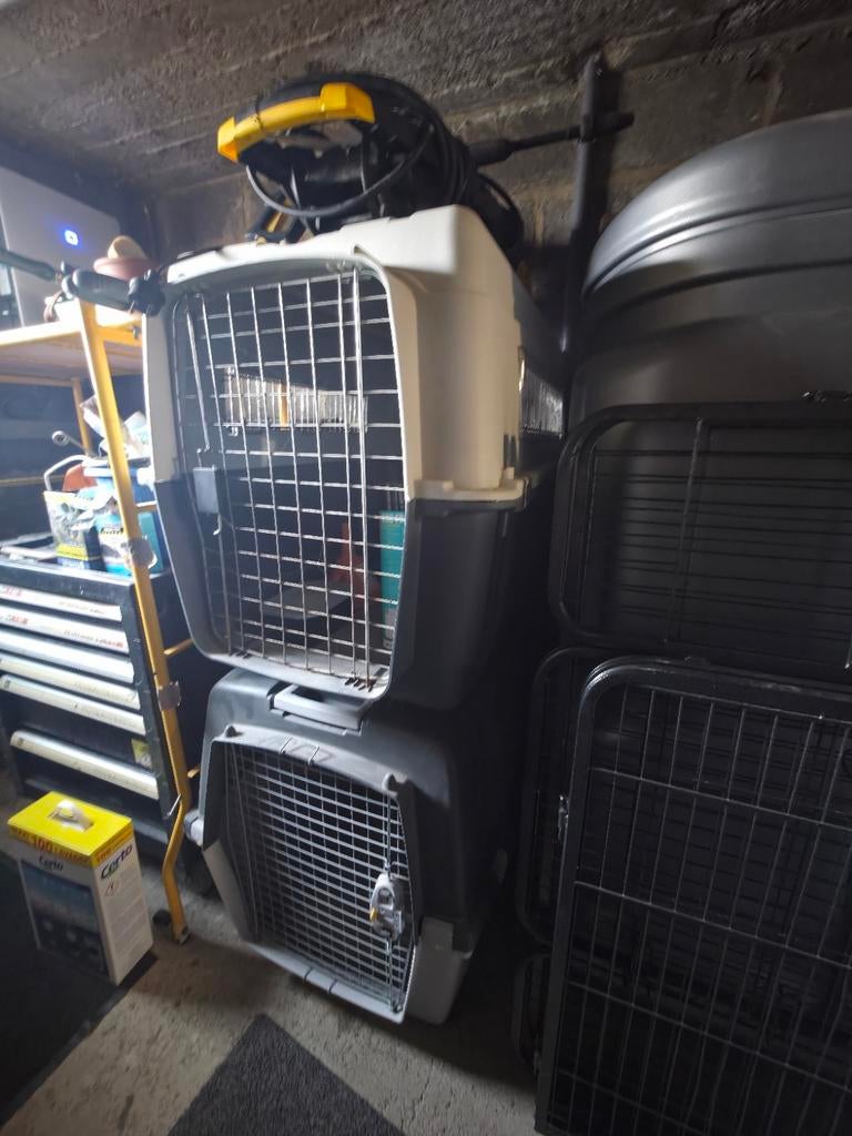 Cage de transport XXL pour chien