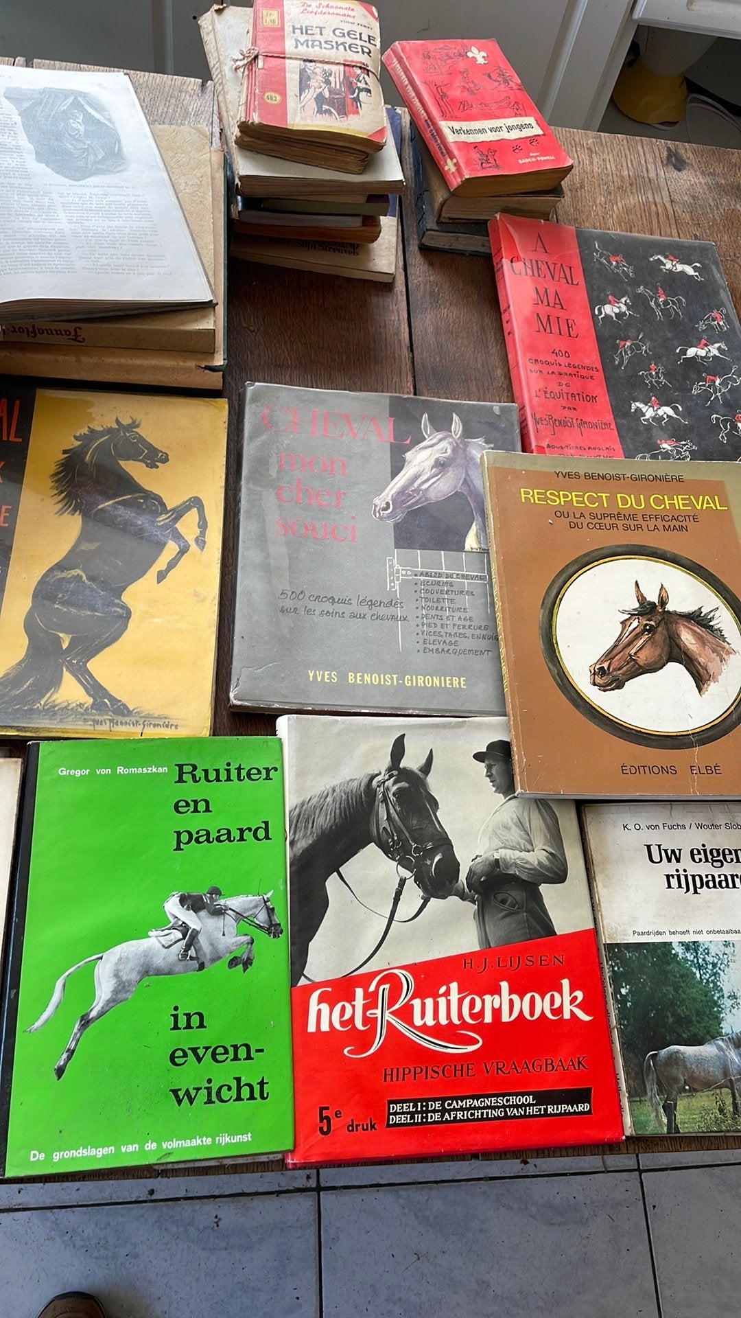 Twaalf boeken over paarden, Boeken, Advies, Hulp en Training, Ophalen, Gelezen