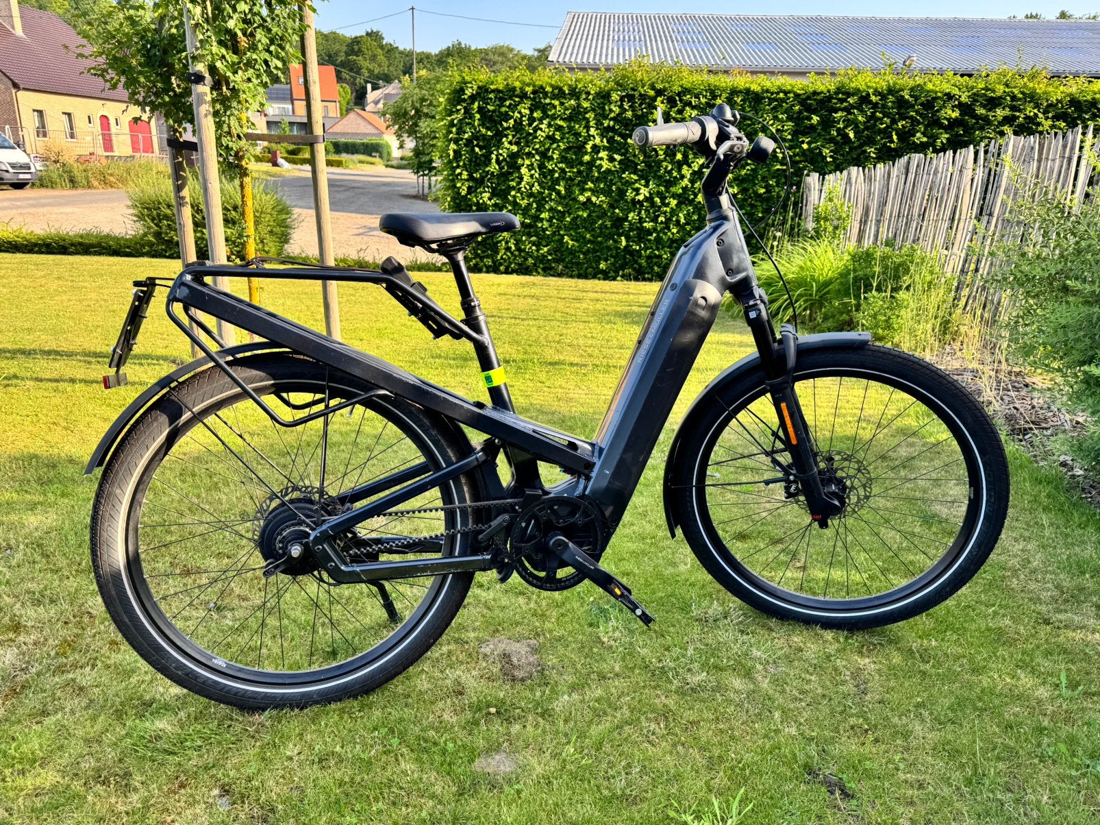 Speedpedelec, Fietsen en Brommers, Ophalen, Riese & Müller