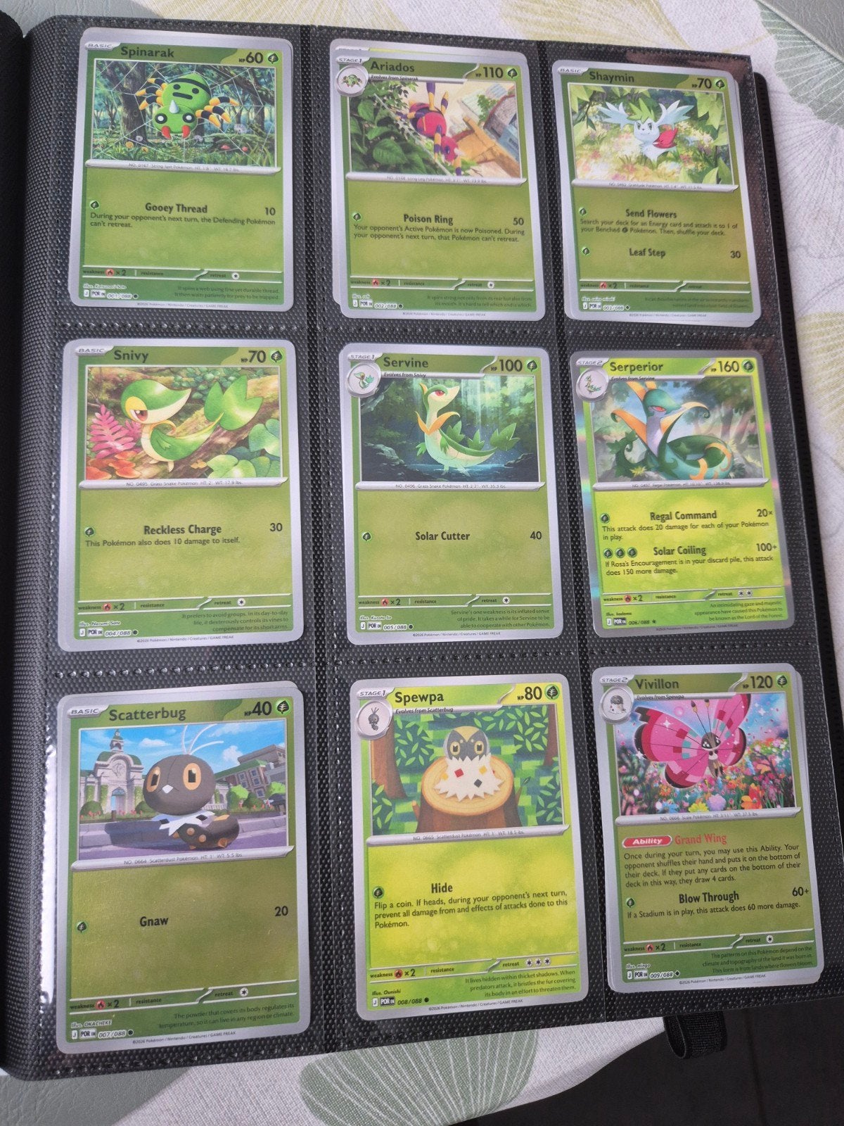 perfect order pokemon, Enlèvement