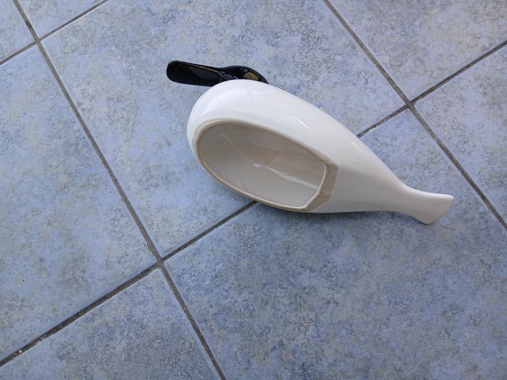 Witte eend met  zwarte snavel, Verzamelen, Ophalen