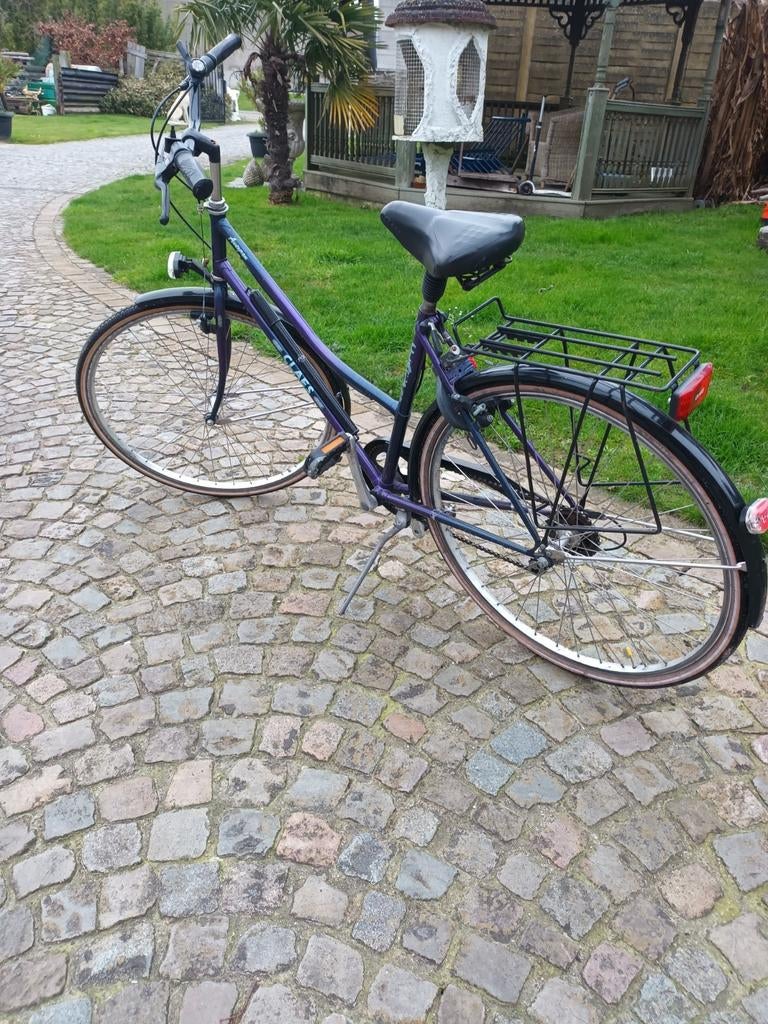 Damesfiets   studenten fiets, Ophalen
