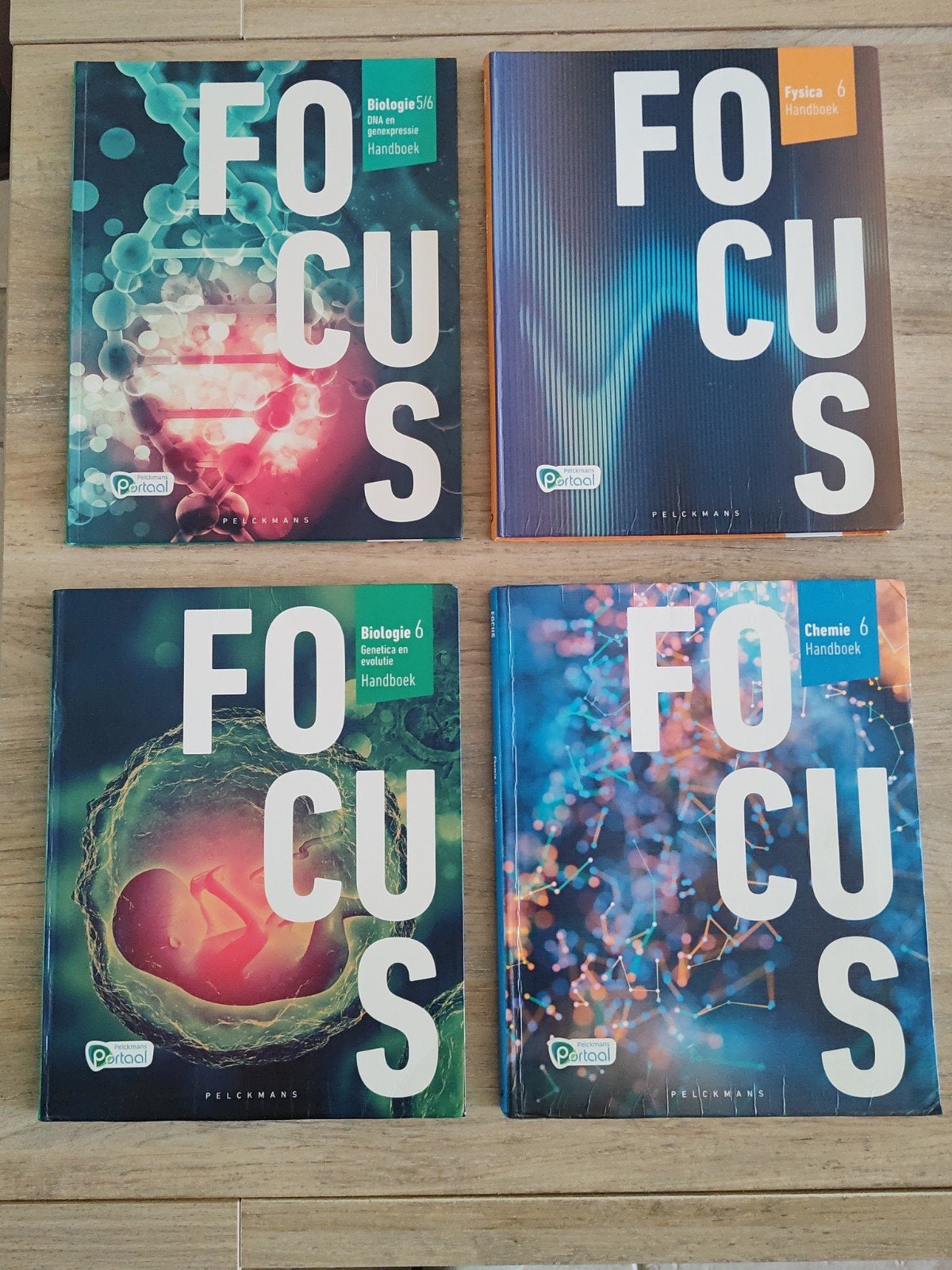 Focus schoolboeken, Livres, Livres scolaires, Enlèvement ou Envoi, Comme neuf, Autres matières