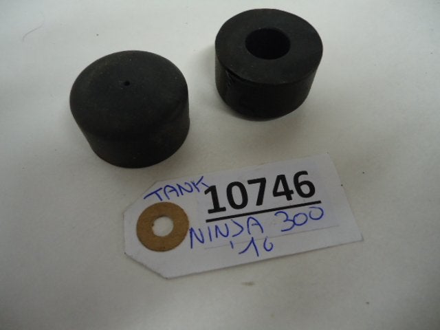 ninja 300R 2012 - 2017 Kawasaki Rubber D1-21739, Motoren