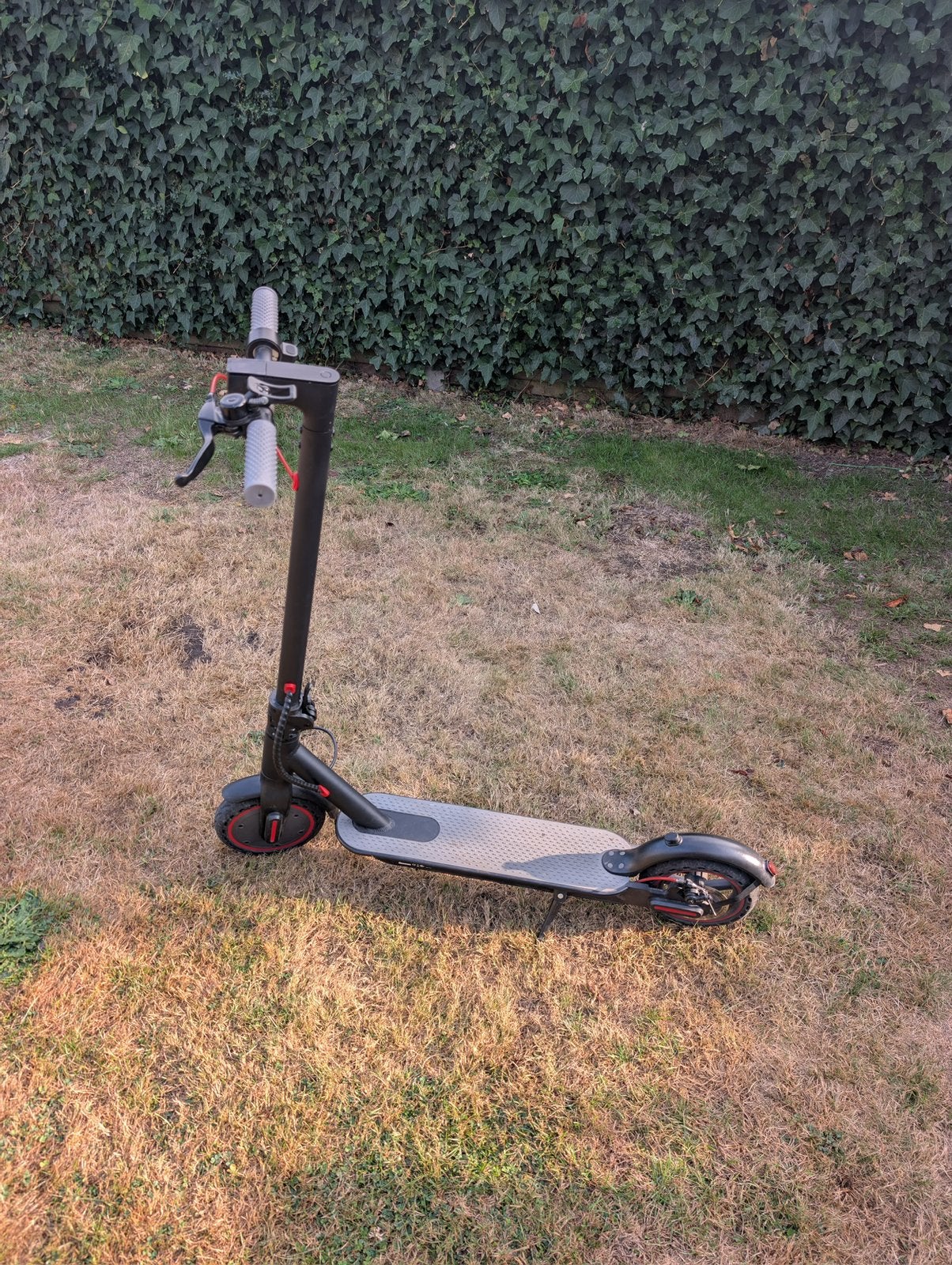 Electric scooter, Fietsen en Brommers, Steps, Ophalen