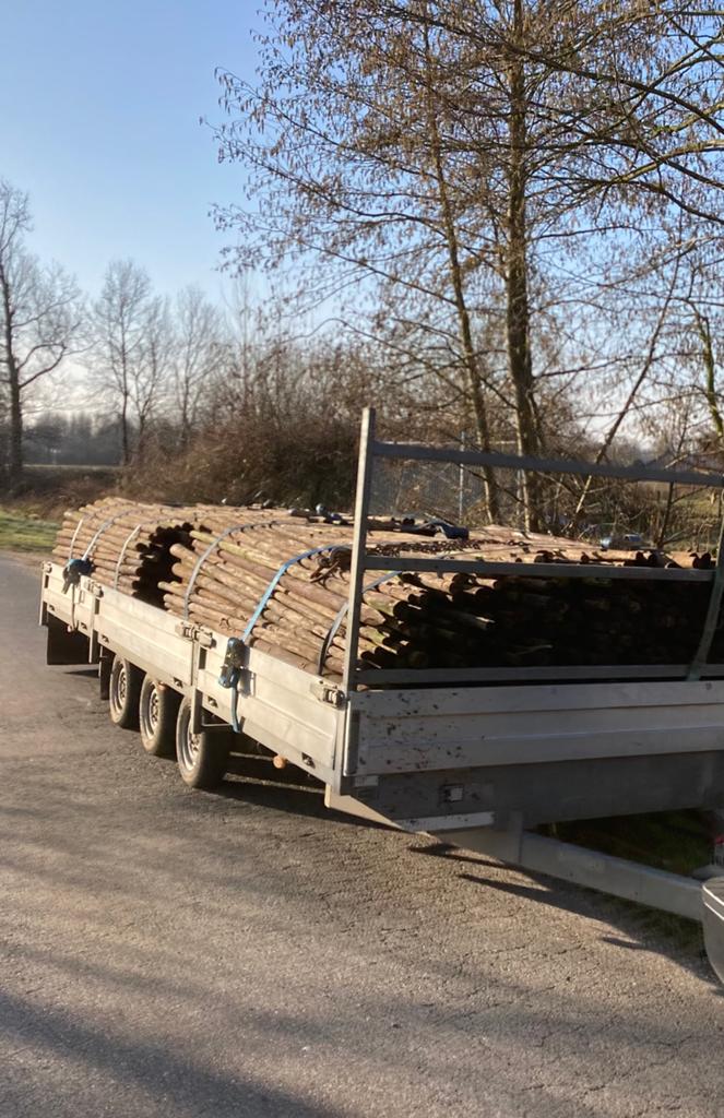Houten palen, Tuin en Terras, Palen, Balken en Planken, Ophalen, Zo goed als nieuw, Palen