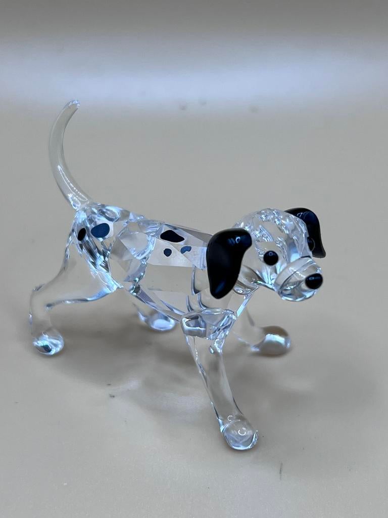 Dalmatiër Swarovski, Ophalen of Verzenden, Zo goed als nieuw