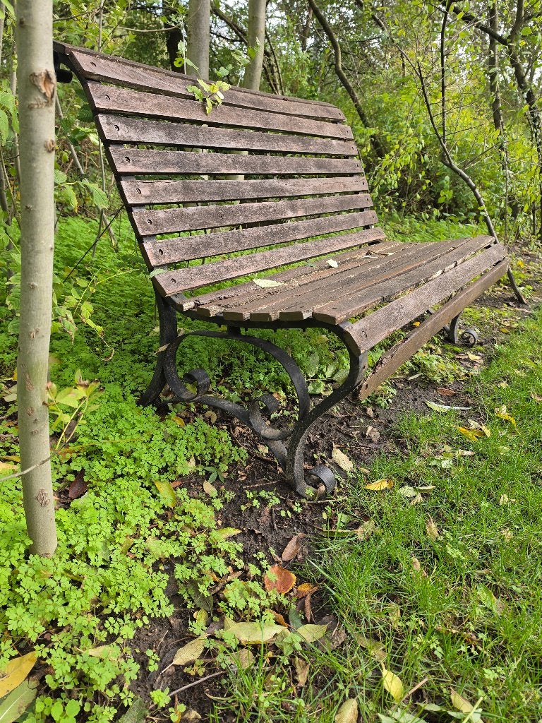 Gietijzeren tuinbank met houten latten, 2-zitter, Ophalen, Gebruikt, Hout