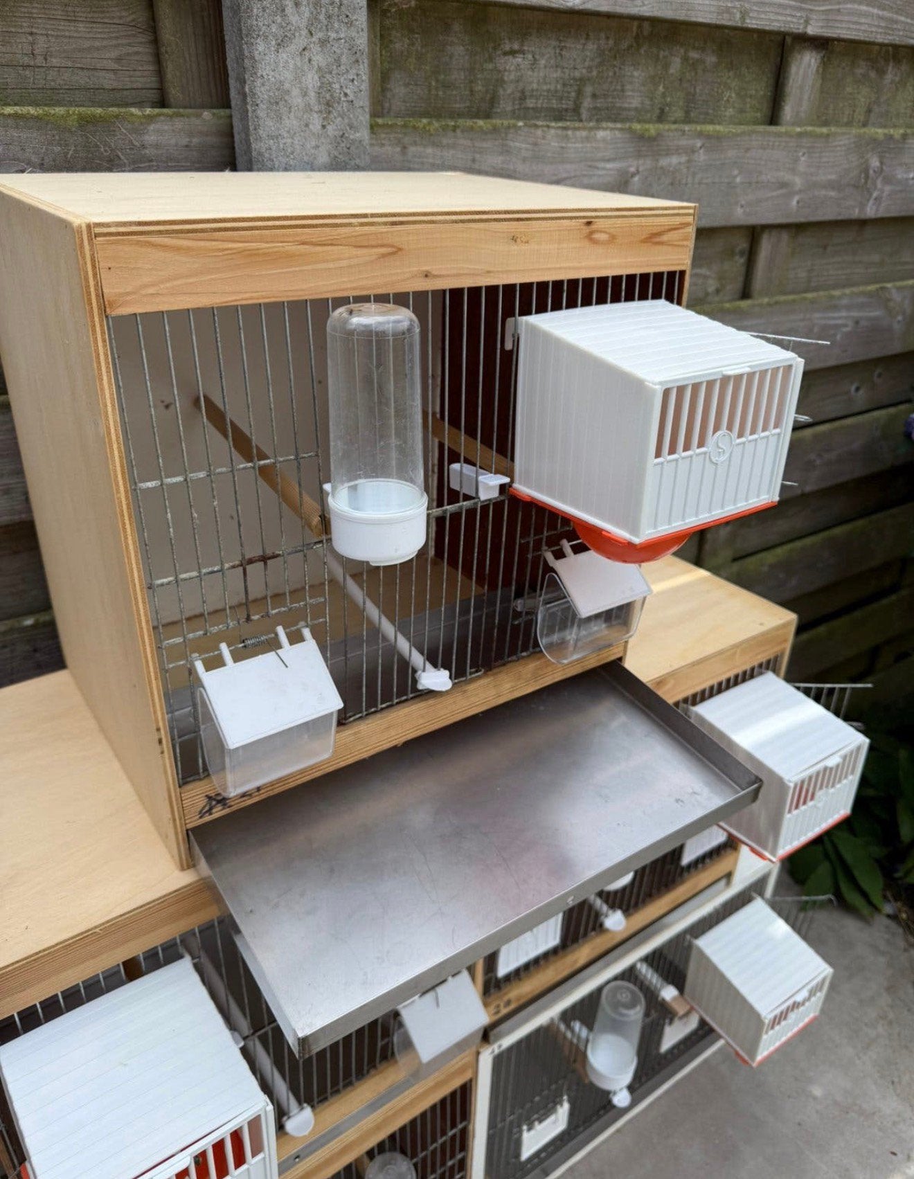 Houten kweekkooi voor exoten, Ophalen, Zo goed als nieuw