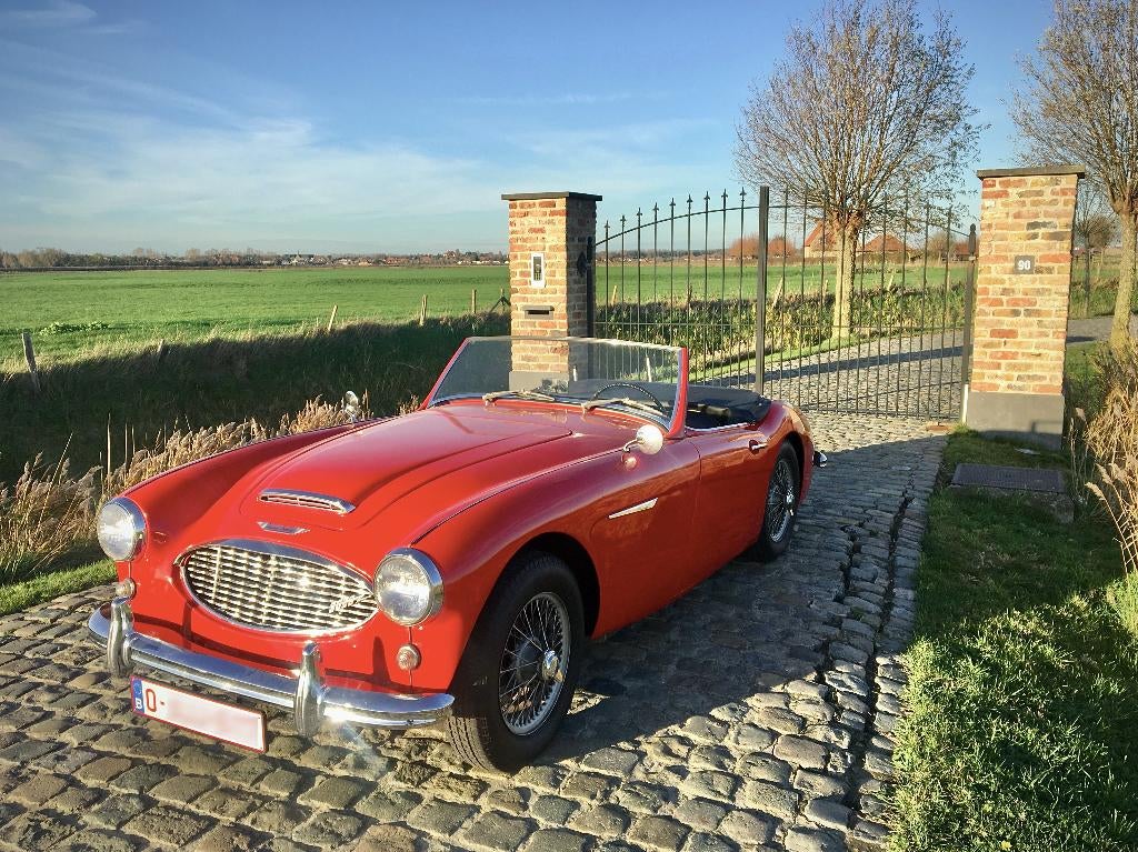 Austin Healey 3000 Mark 1 BT7, Auto's, Oldtimers, Particulier, Austin, Benzine, Cabriolet, 2 deurs, Handgeschakeld, Rood, Zwart