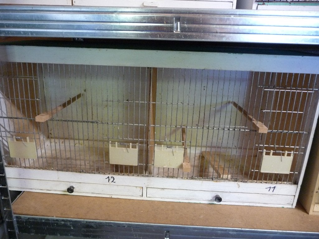 kweekkooi, Dieren en Toebehoren, Ophalen, Zo goed als nieuw, Hout, Broedkooi of Kweekkooi