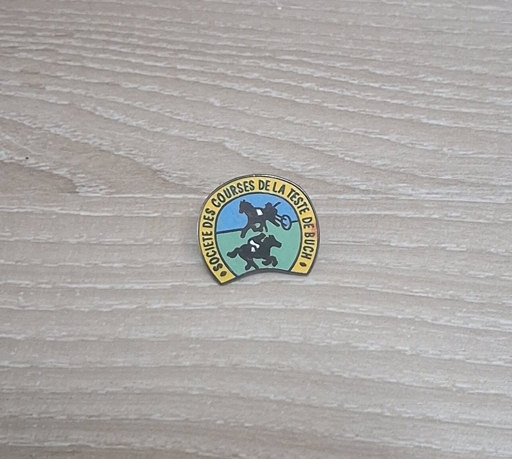 PIN - PAARDENKOERS - COURSE A CHEVAL, Envoi, Utilisé, Sport, Insigne ou Pin's