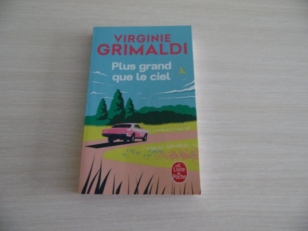 PLUS GRAND QUE LE CIEL      VIRGINIE  GRIMALDI, Ophalen of Verzenden, Virginie Grimaldi, Europa overig