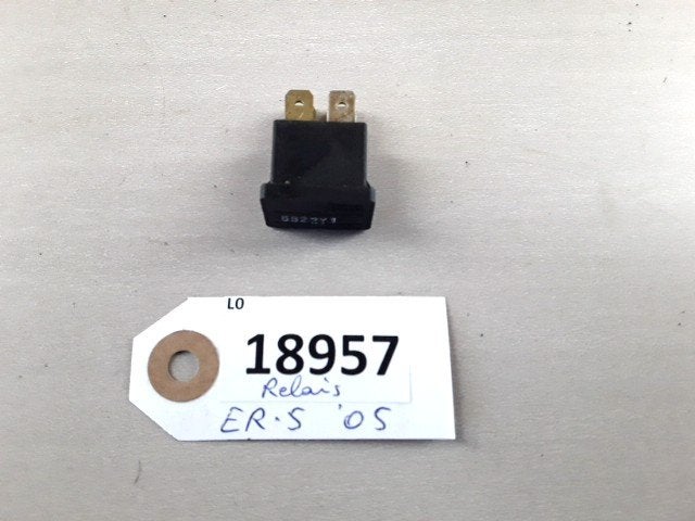 ER5 1997 - 2005 Kawasaki Elektrische component D1-35916